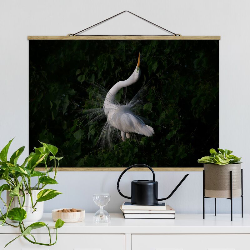 

Imagen de tela - Dancing Egrets In Front Of Black - Apaisado 2:3 Dimensión LxA: 53.5cm x 80cm