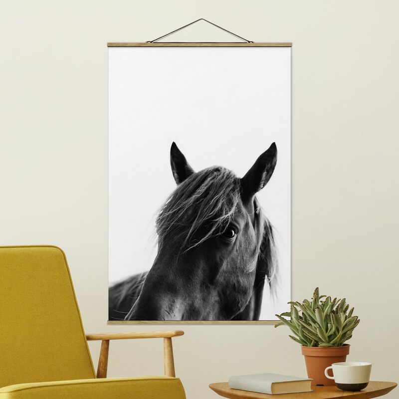 

Imagen de tela - Curious Horse - Alto 3:2 Dimensión LxA: 150cm x 100cm