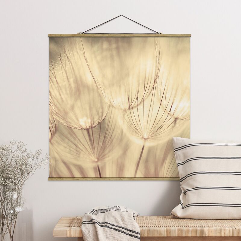 

Imagen de tela - Dandelions Close-Up In Sepia Tones Homely - Cuadrado 1:1 Dimensión LxA: 80cm x 80cm
