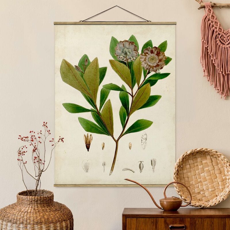 

Imagen de tela - Deciduous Poster V - Alto 4:3 Dimensión LxA: 46.5cm x 35cm