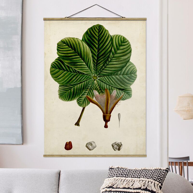 

Imagen de tela - Deciduous Poster II - Alto 4:3 Dimensión LxA: 106.5cm x 80cm