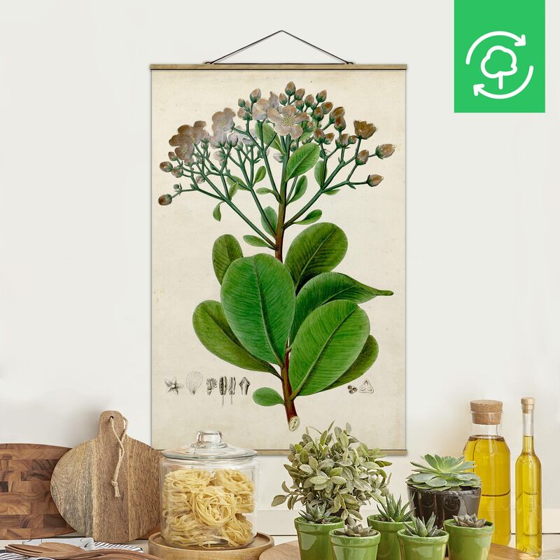 

Imagen de tela - Deciduous Poster VIII - Alto 3:2 Dimensión LxA: 120cm x 80cm