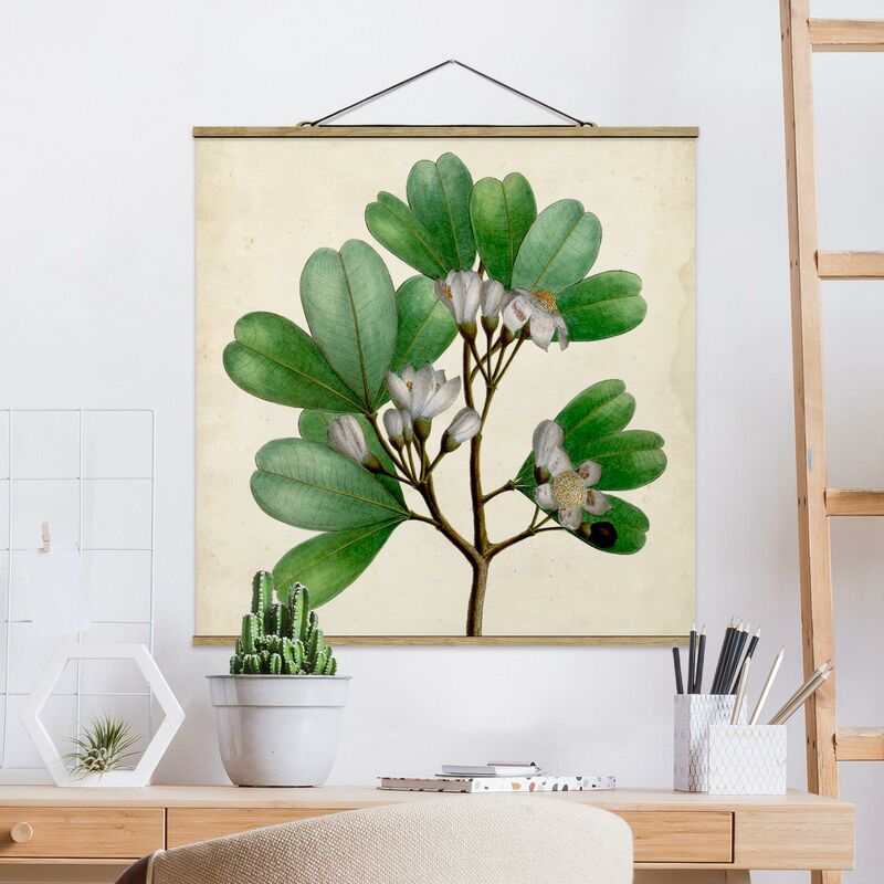 

Imagen de tela - Deciduous Poster III - Cuadrado 1:1 Dimensión LxA: 100cm x 100cm