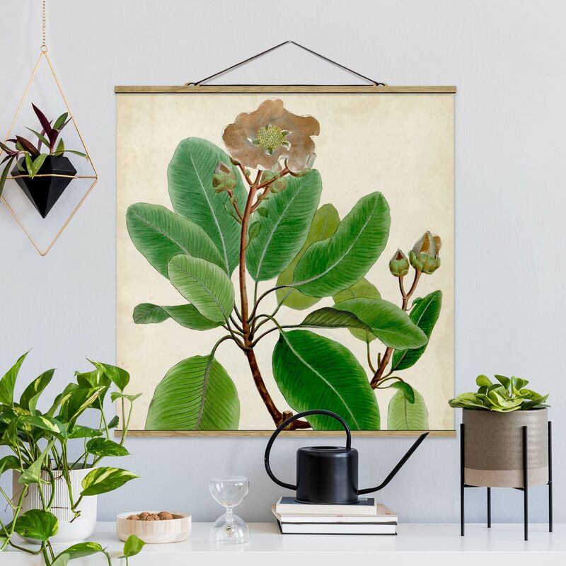 

Imagen de tela - Deciduous Poster VI - Cuadrado 1:1 Dimensión LxA: 80cm x 80cm