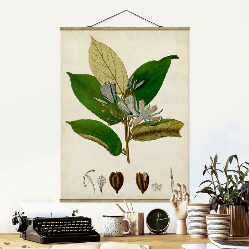 

Imagen de tela - Deciduous Poster IV - Alto 4:3 Dimensión LxA: 66.4cm x 50cm
