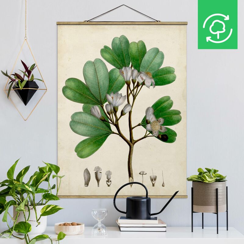 

Imagen de tela - Deciduous Poster III - Alto 4:3 Dimensión LxA: 66.4cm x 50cm