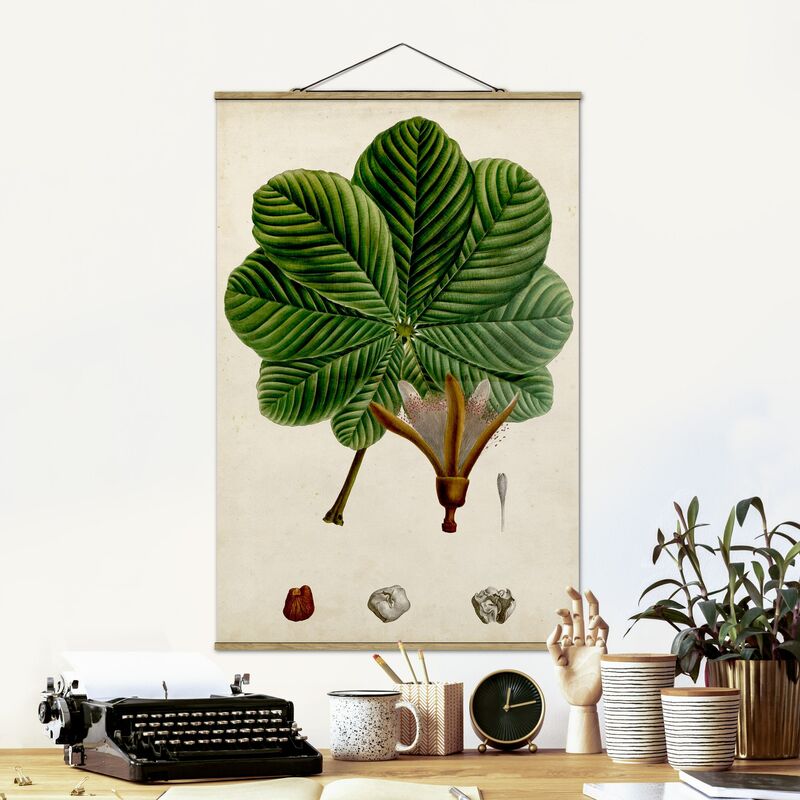 

Imagen de tela - Deciduous Poster II - Alto 3:2 Dimensión LxA: 150cm x 100cm