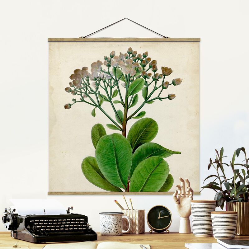 

Imagen de tela - Deciduous Poster VIII - Cuadrado 1:1 Dimensión LxA: 100cm x 100cm