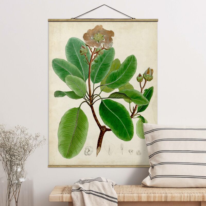 

Imagen de tela - Deciduous Poster VI - Alto 4:3 Dimensión LxA: 133.5cm x 100cm