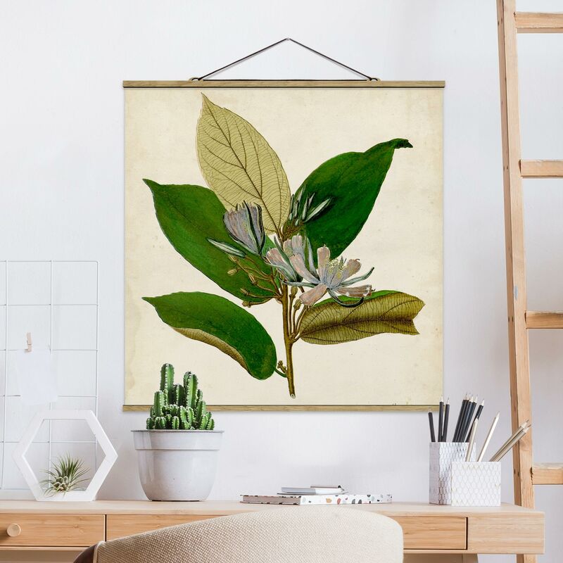 

Imagen de tela - Deciduous Poster IV - Cuadrado 1:1 Dimensión LxA: 80cm x 80cm