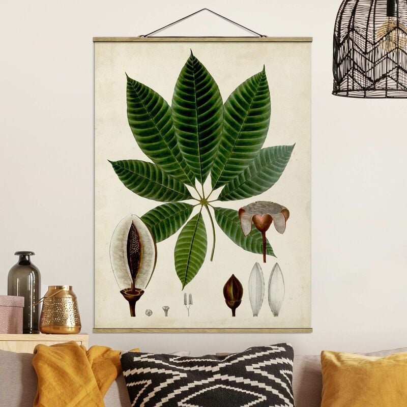 

Imagen de tela - Deciduous Poster VII - Alto 4:3 Dimensión LxA: 66.4cm x 50cm