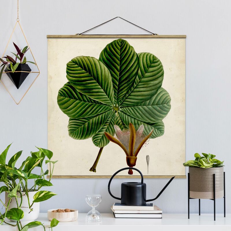 

Imagen de tela - Deciduous Poster II - Cuadrado 1:1 Dimensión LxA: 50cm x 50cm