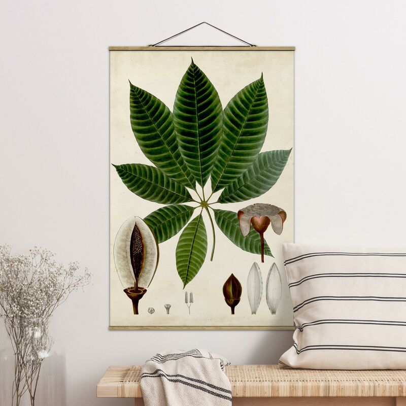 

Imagen de tela - Deciduous Poster VII - Alto 3:2 Dimensión LxA: 120cm x 80cm