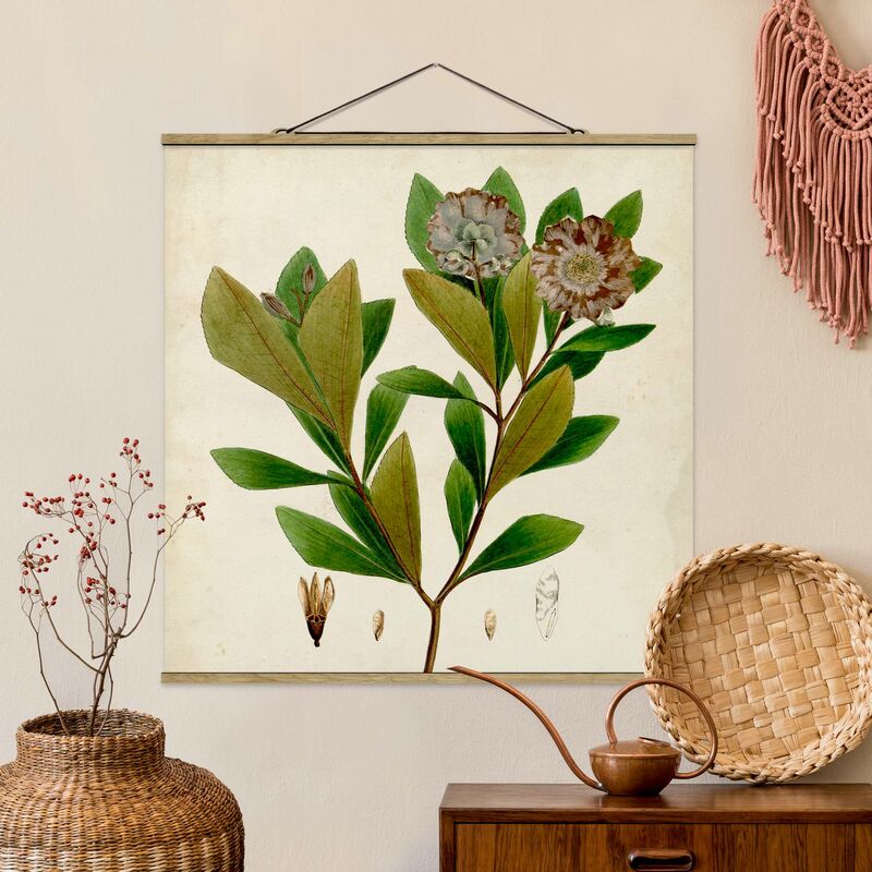 

Imagen de tela - Deciduous Poster V - Cuadrado 1:1 Dimensión LxA: 100cm x 100cm