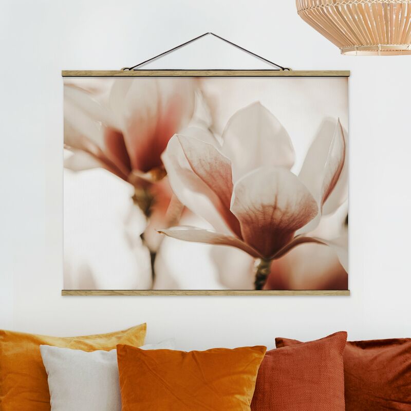 

Imagen de tela - Delicate Magnolia Flowers In An Interplay Of Light And Shadows - Apaisado 3:4 Dimensión LxA: 75cm x 100cm