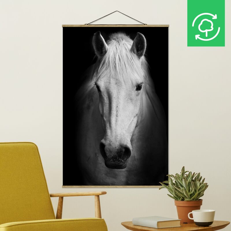 

Imagen de tela - Dream Of A Horse - Alto 3:2 Dimensión LxA: 150cm x 100cm