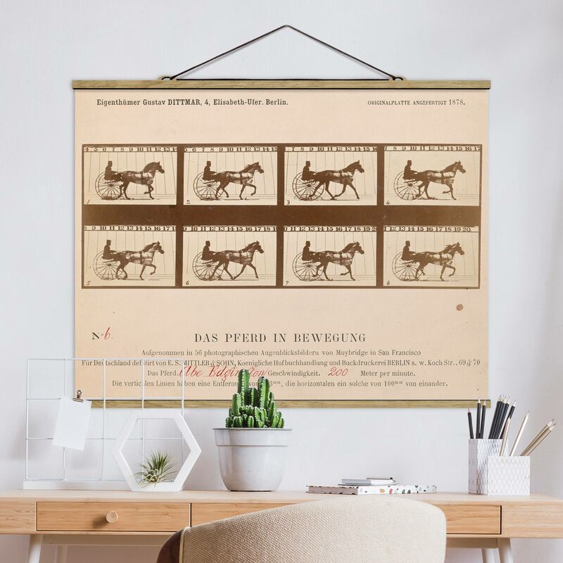 

Imagen de tela - Eadweard Muybridge - The Horse In Motion - Apaisado 3:4 Dimensión LxA: 60cm x 80cm