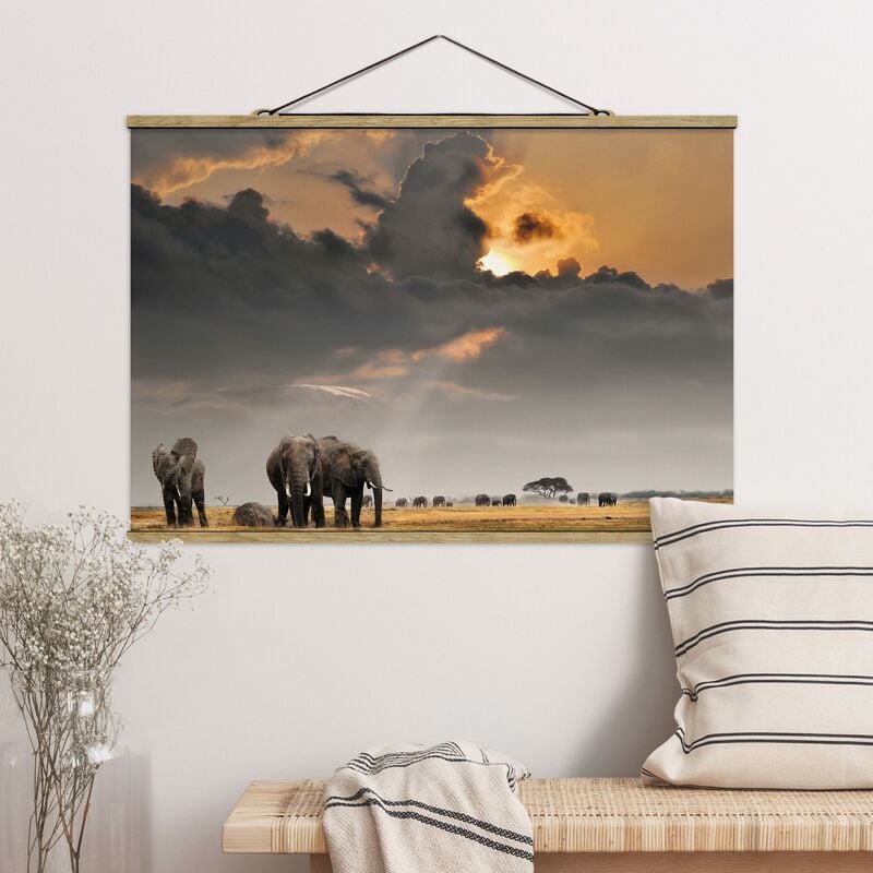 

Imagen de tela - Elephant Savanna - Apaisado 2:3 Dimensión LxA: 66.5cm x 100cm