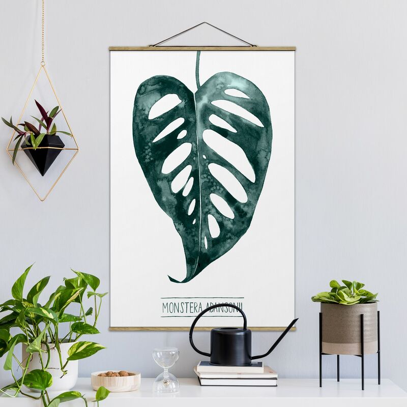 

Imagen de tela - Emerald Monstera Adansonii - Alto 3:2 Dimensión LxA: 75cm x 50cm