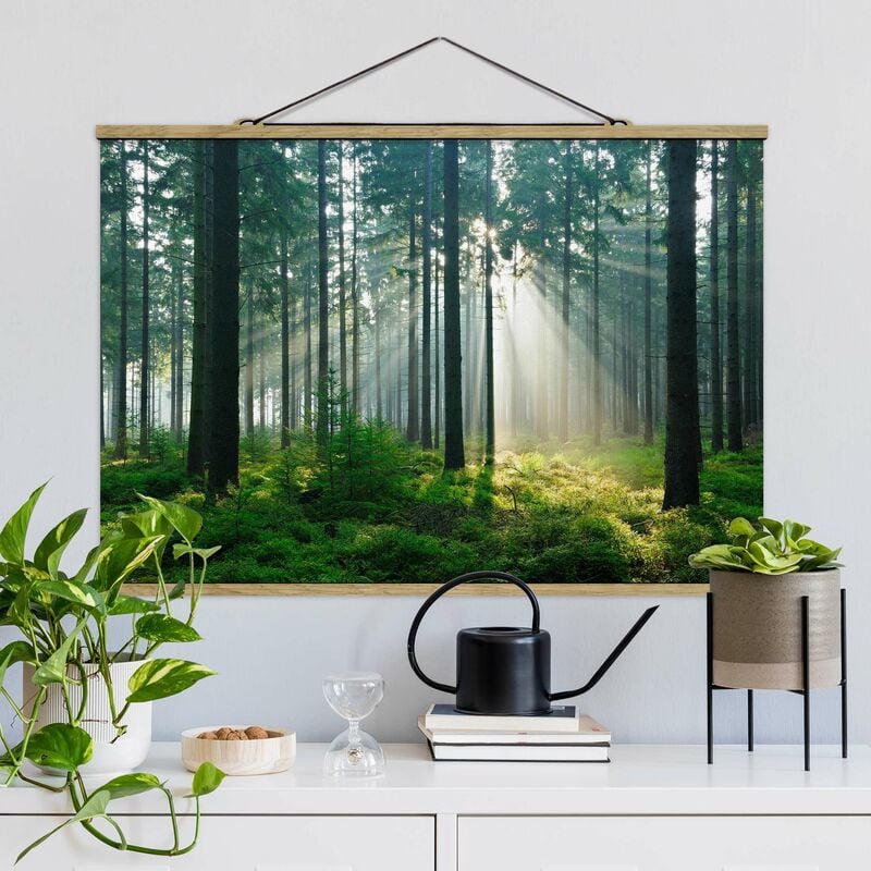 

Imagen de tela - Enlightened Forest - Apaisado 2:3 Dimensión LxA: 66.5cm x 100cm