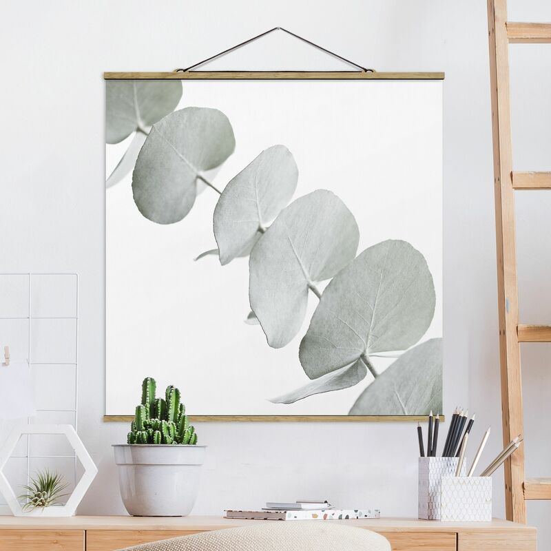 

Imagen de tela - Eucalyptus Branch In White Light - Cuadrado 1:1 Dimensión LxA: 100cm x 100cm