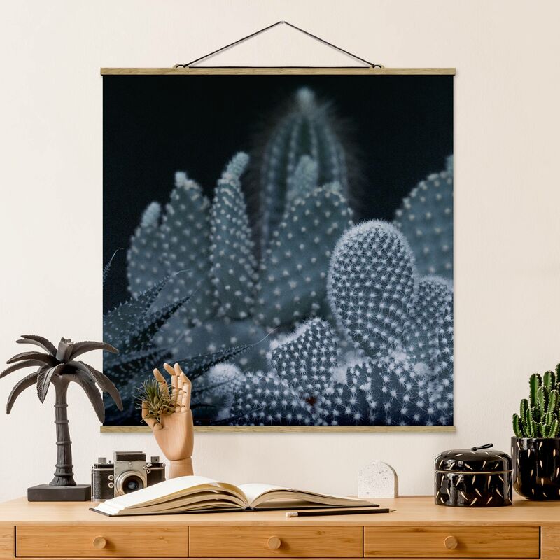 

Imagen de tela - Familiy Of Cacti At Night - Cuadrado 1:1 Dimensión LxA: 50cm x 50cm