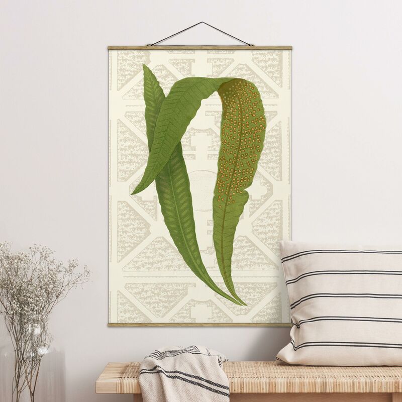 

Imagen de tela - Ferns Of The Garden IV - Alto 3:2 Dimensión LxA: 120cm x 80cm