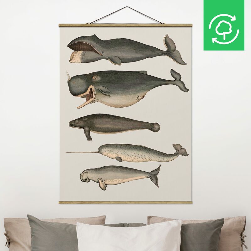 

Imagen de tela - Five Vintage Whales - Alto 4:3 Dimensión LxA: 66.4cm x 50cm