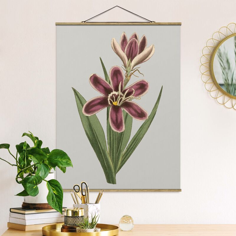 

Imagen de tela - Floral Jewelry II - Alto 4:3 Dimensión LxA: 133.5cm x 100cm