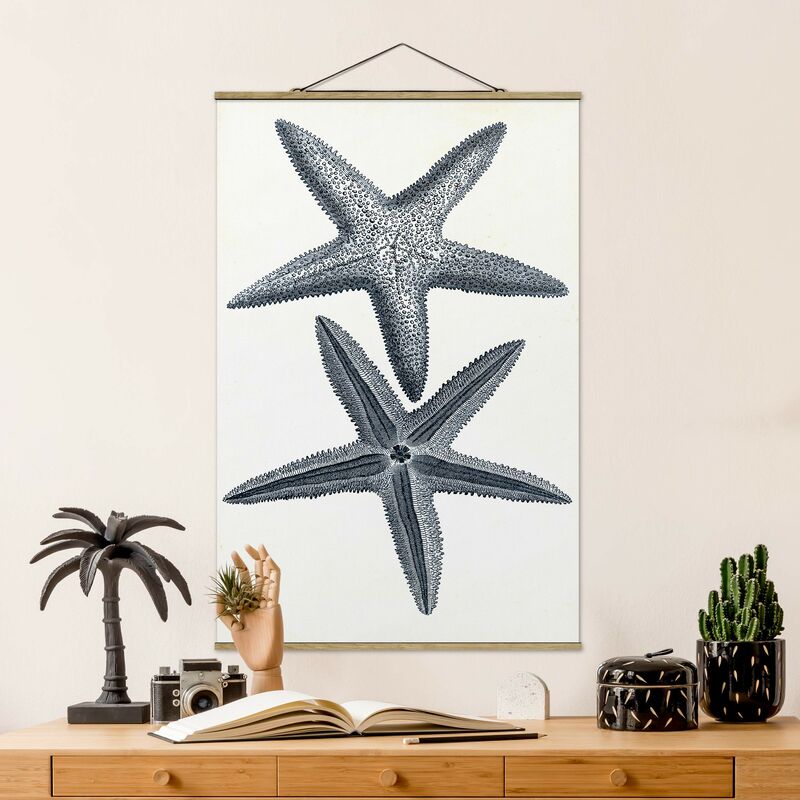 

Imagen de tela - Flotsam In Navy II - Alto 3:2 Dimensión LxA: 120cm x 80cm