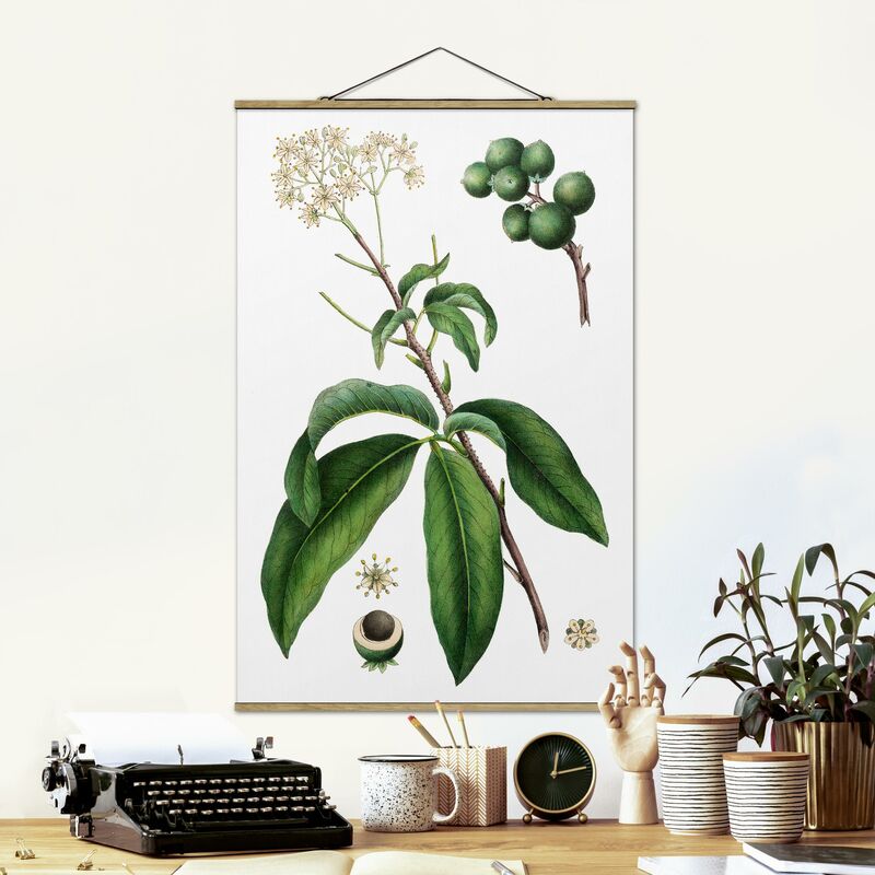 

Imagen de tela - Foliage With Flowers II - Alto 3:2 Dimensión LxA: 52.5cm x 35cm