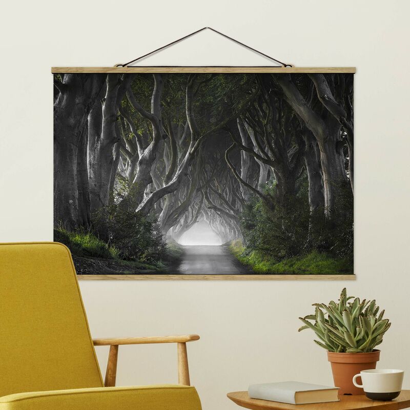 

Imagen de tela - Forest In Northern Ireland - Apaisado 2:3 Dimensión LxA: 66.5cm x 100cm