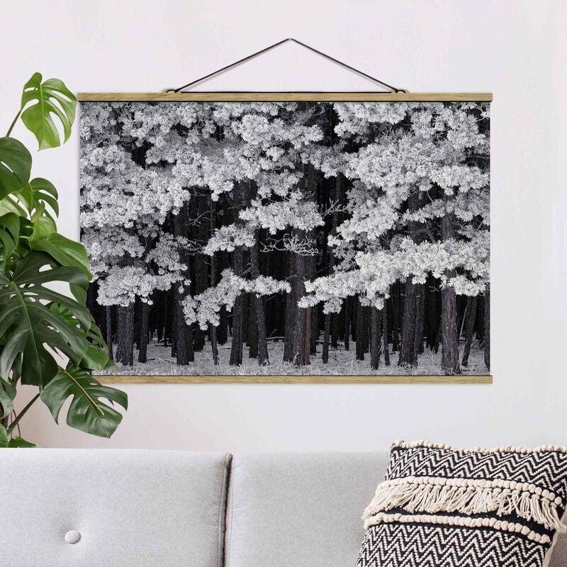 

Imagen de tela - Forest With Hoarfrost In Austria - Apaisado 2:3 Dimensión LxA: 53.5cm x 80cm