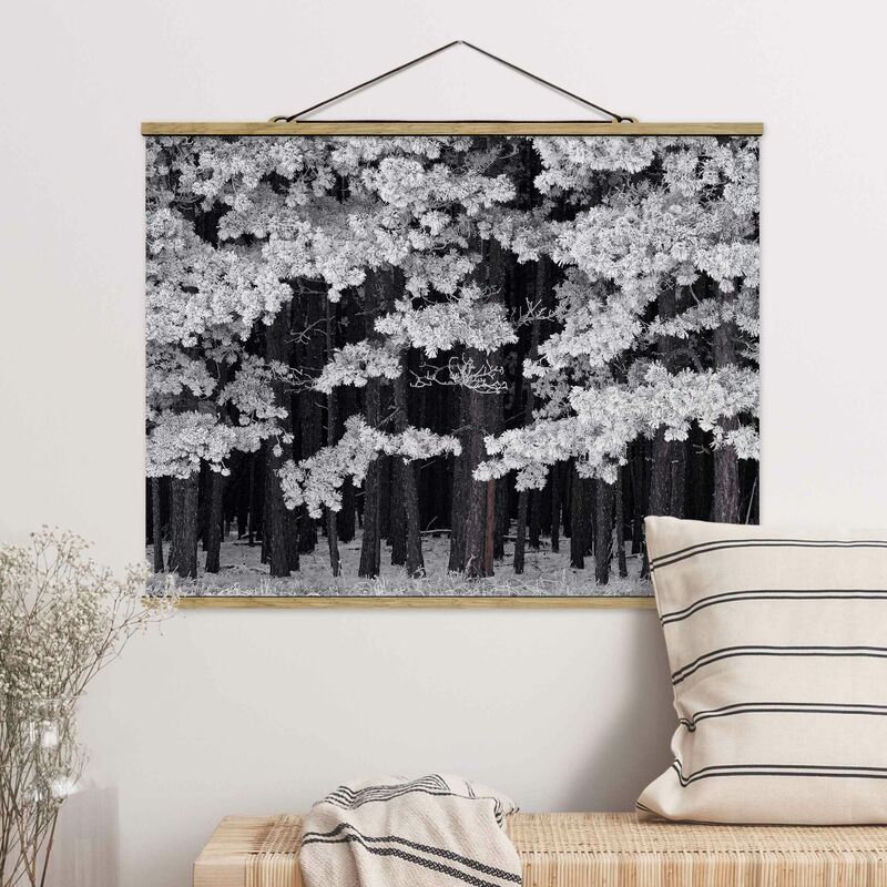 

Imagen de tela - Forest With Hoarfrost In Austria - Apaisado 3:4 Dimensión LxA: 37.5cm x 50cm