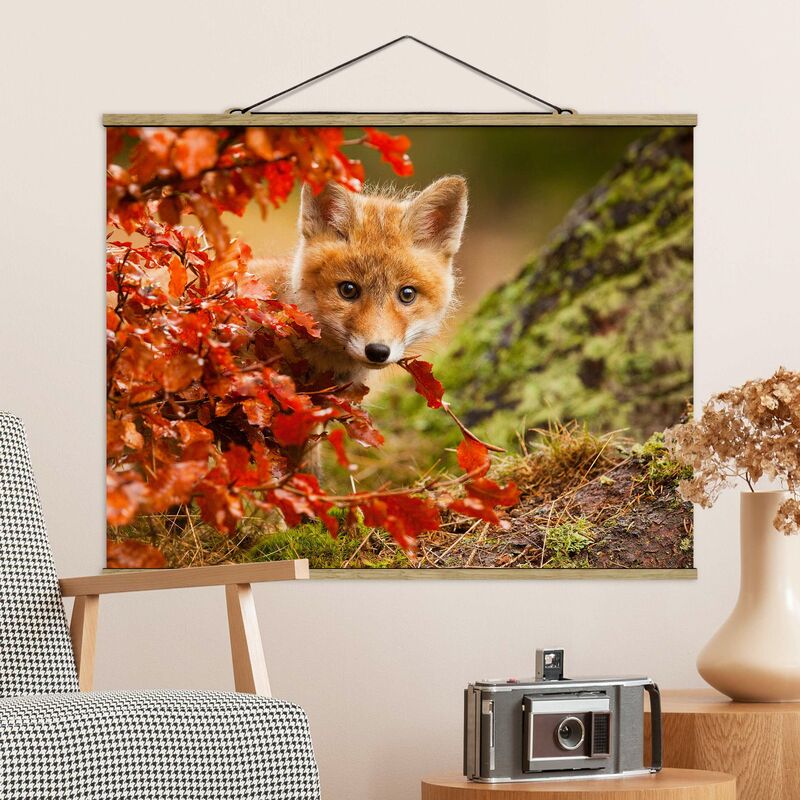 

Imagen de tela - Fox In The Fall - Apaisado 3:4 Dimensión LxA: 75cm x 100cm