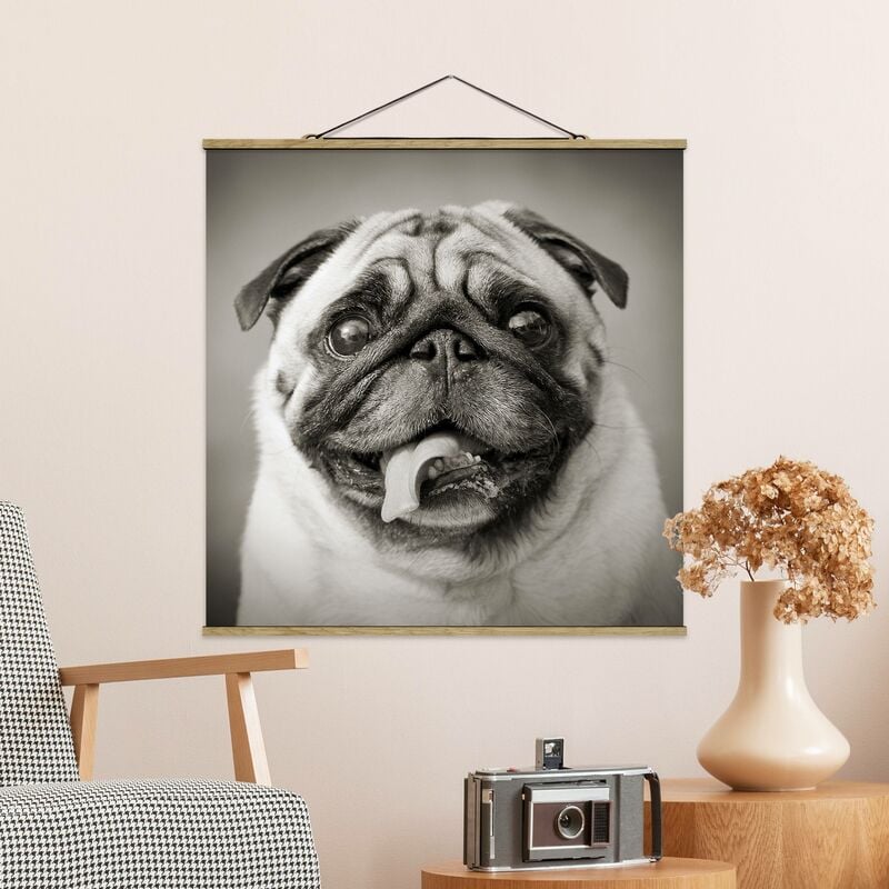 

Imagen de tela - Funny Pug - Cuadrado 1:1 Dimensión LxA: 50cm x 50cm