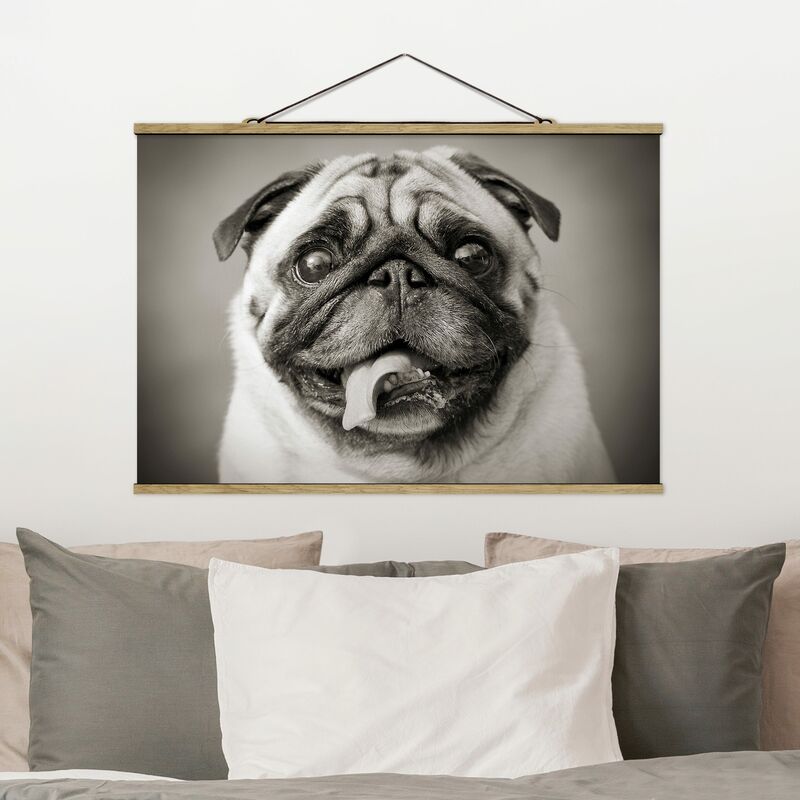 

Imagen de tela - Funny Pug - Apaisado 2:3 Dimensión LxA: 53.5cm x 80cm