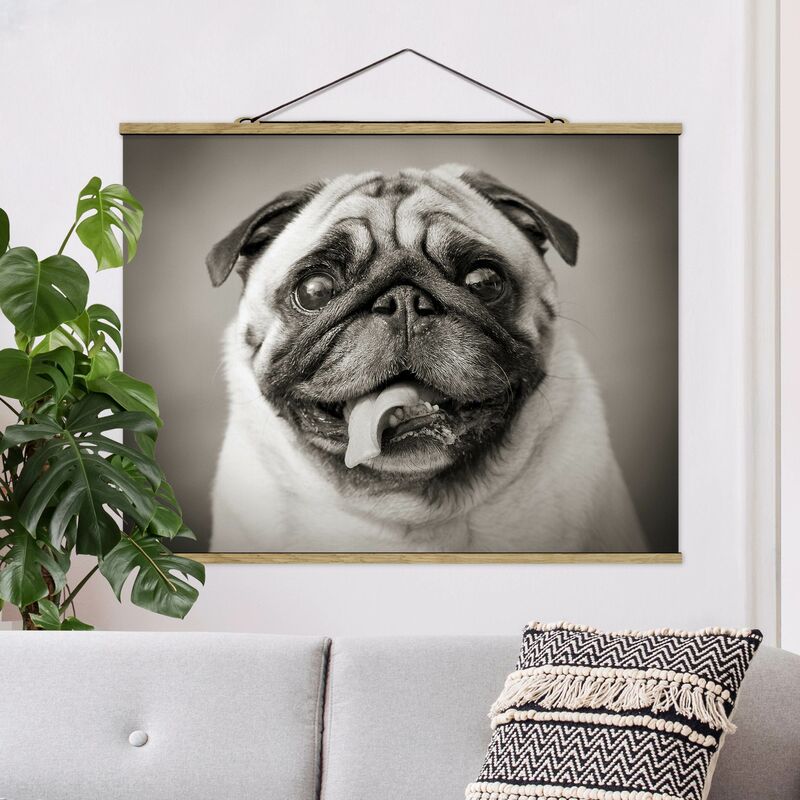 

Imagen de tela - Funny Pug - Apaisado 3:4 Dimensión LxA: 37.5cm x 50cm
