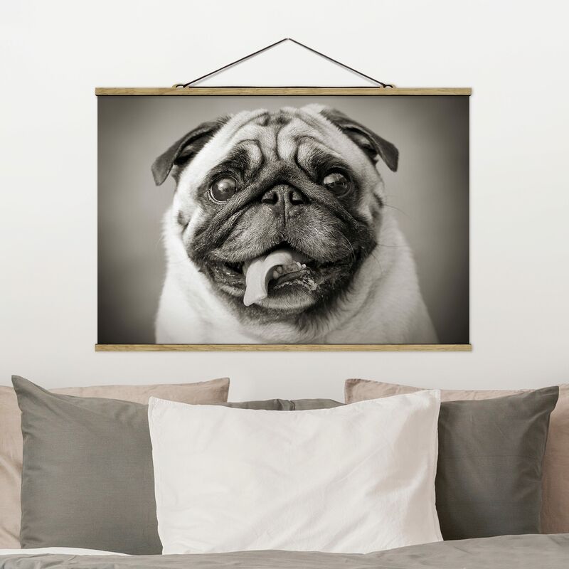 

Imagen de tela - Funny Pug - Apaisado 2:3 Dimensión LxA: 23.5cm x 35cm