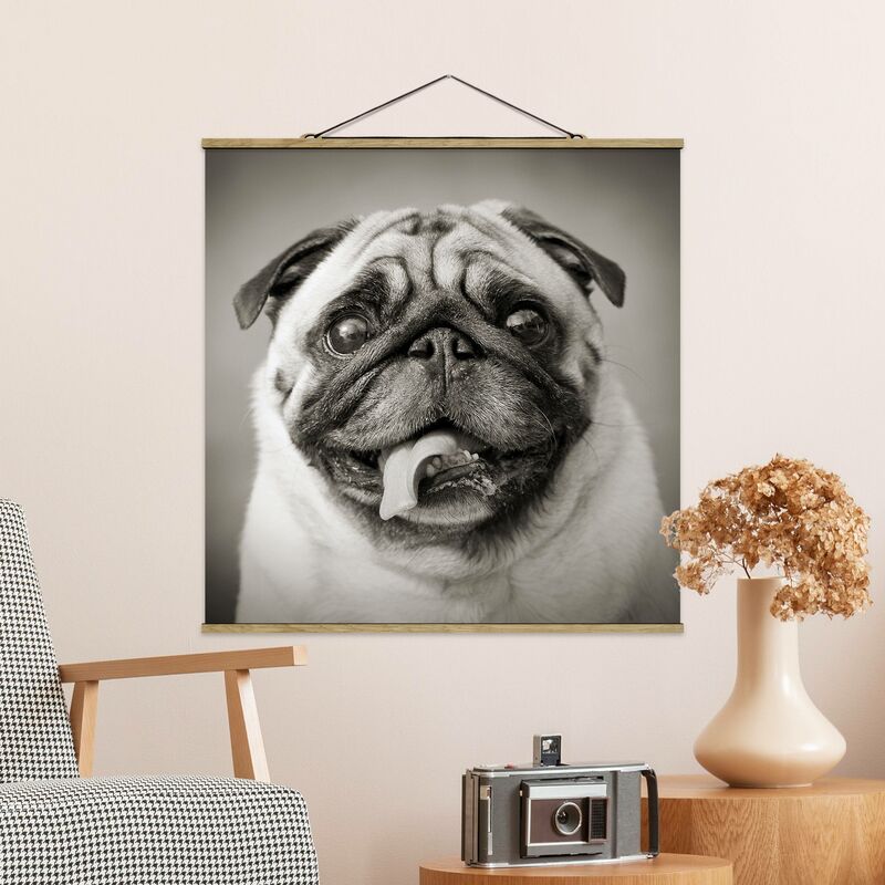 

Imagen de tela - Funny Pug - Cuadrado 1:1 Dimensión LxA: 100cm x 100cm
