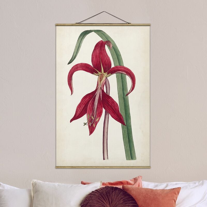 

Imagen de tela - Garden Beauty I - Alto 3:2 Dimensión LxA: 52.5cm x 35cm