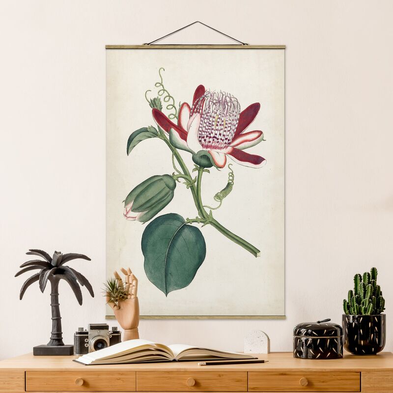 

Imagen de tela - Garden Beauty IV - Alto 3:2 Dimensión LxA: 150cm x 100cm