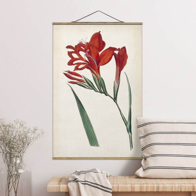 

Imagen de tela - Garden Beauty VI - Alto 3:2 Dimensión LxA: 150cm x 100cm