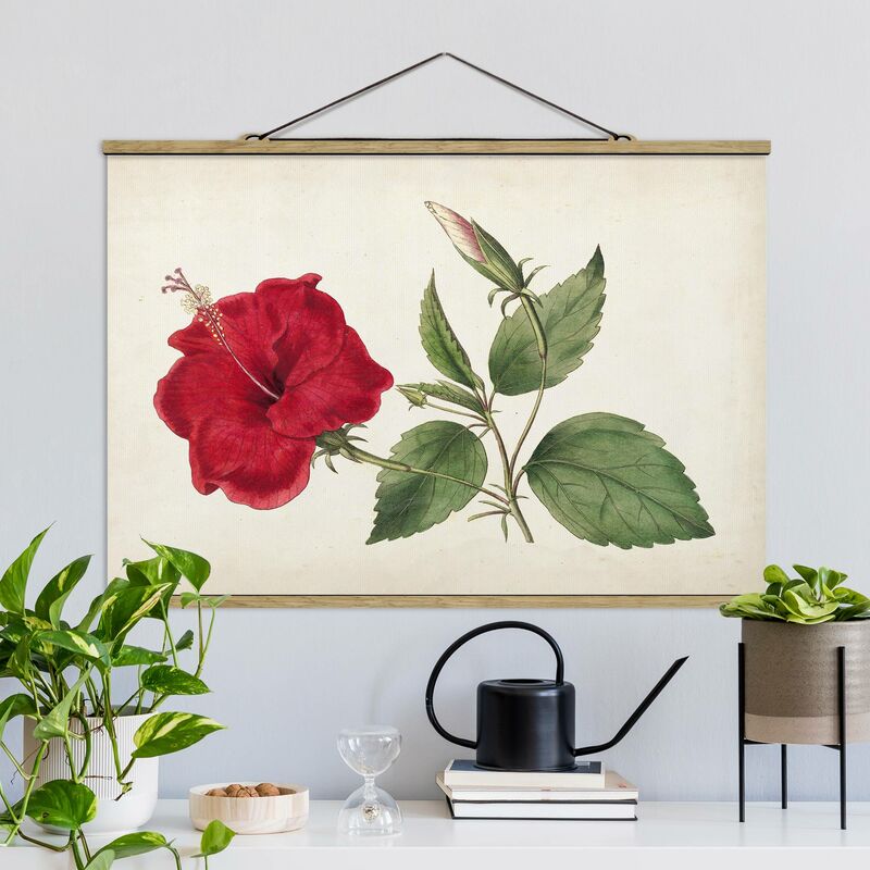

Imagen de tela - Garden Beauty III - Apaisado 2:3 Dimensión LxA: 53.5cm x 80cm