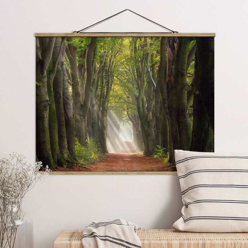 

Imagen de tela - Glorious Day In The Forest - Apaisado 3:4 Dimensión LxA: 37.5cm x 50cm