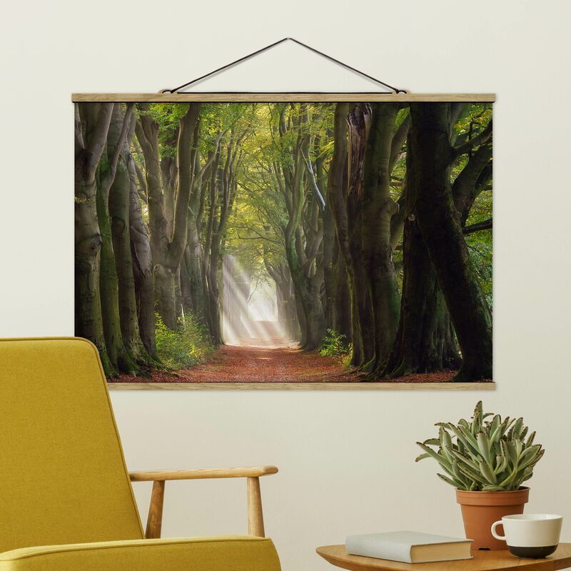 

Imagen de tela - Glorious Day In The Forest - Apaisado 2:3 Dimensión LxA: 66.5cm x 100cm