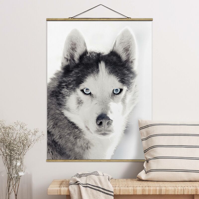 

Imagen de tela - Husky Portrait - Alto 4:3 Dimensión LxA: 106.5cm x 80cm