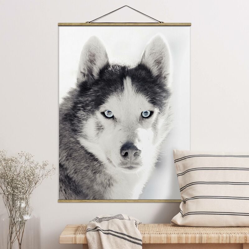 

Imagen de tela - Husky Portrait - Alto 4:3 Dimensión LxA: 133.5cm x 100cm