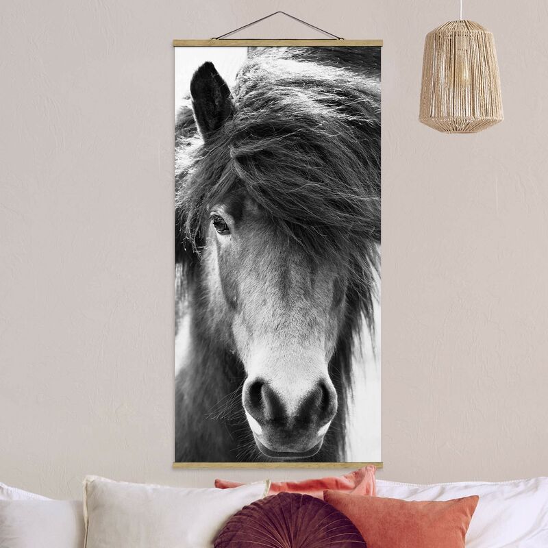 

Bilderwelten - Imagen de tela - Icelandic Horse In Black And White - Alto 2:1 Dimensión LxA: 70cm x 35cm