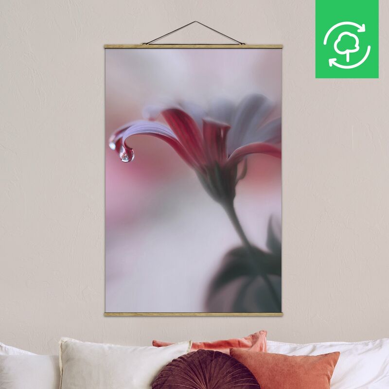 

Imagen de tela - Invisible Touch - Alto 3:2 Dimensión LxA: 52.5cm x 35cm